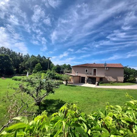 Villa Krizanci Zminj Экстерьер фото