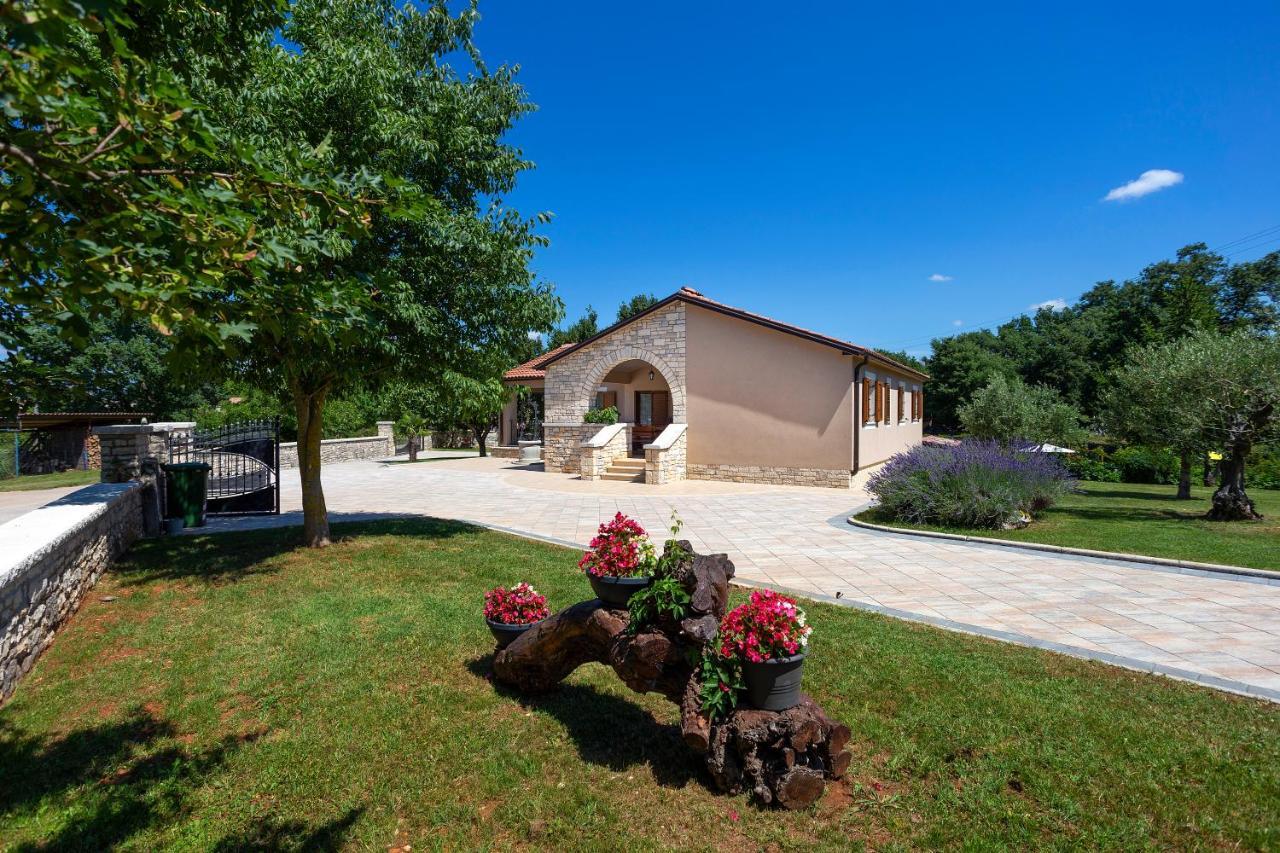 Villa Krizanci Zminj Экстерьер фото