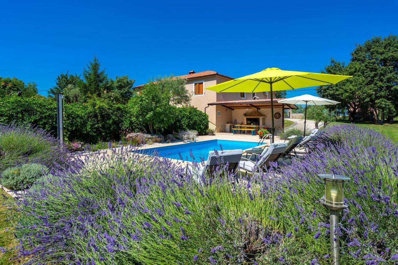 Villa Krizanci Zminj Экстерьер фото